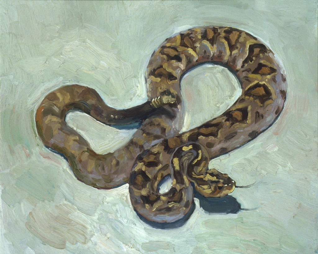 Rattlesnake 3